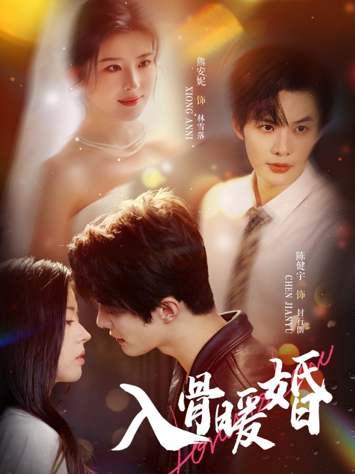 入骨暖婚 全集完结(大结局)