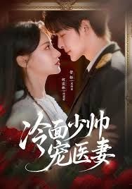 冷面少帅宠医妻 全集(大结局)