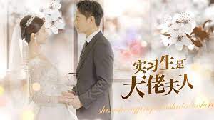 实习生是大佬夫人 第1-20集