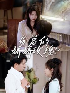 易总的娇娇玫瑰 第41-60集