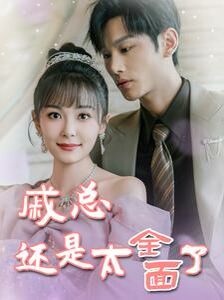 戚总还是太全面了(戚总今天追到夫人了么) 第1-20集