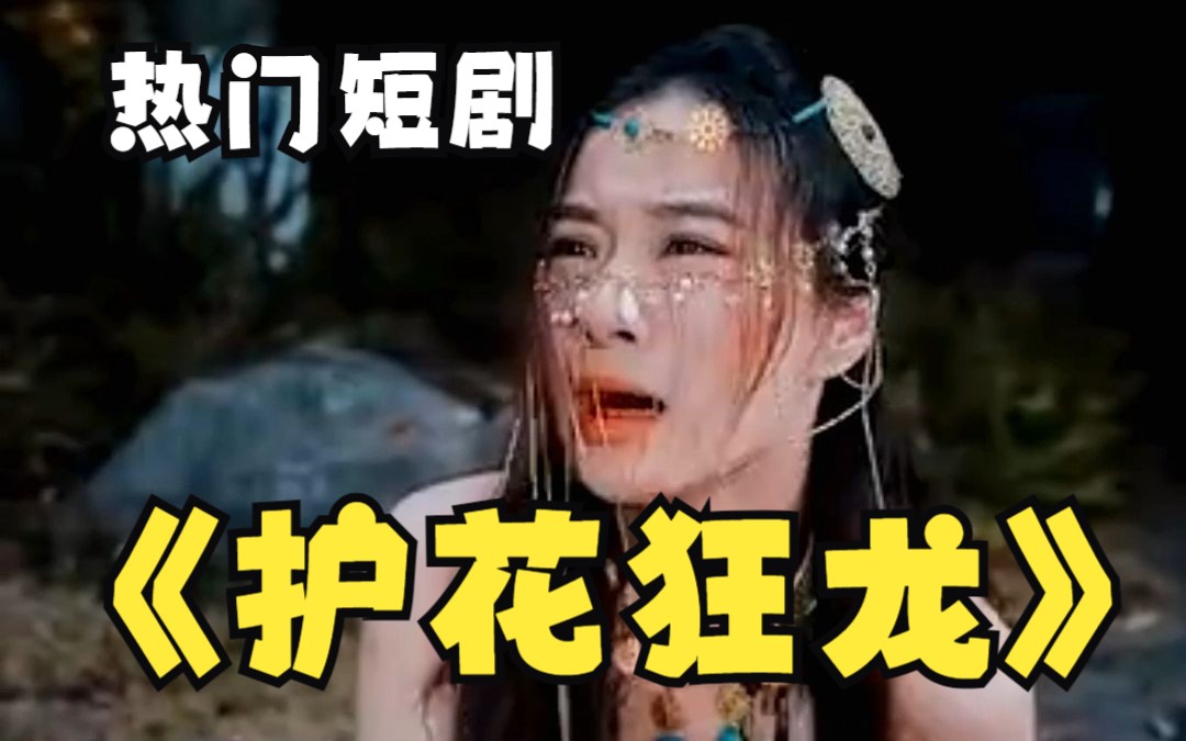 护花狂龙 第3集