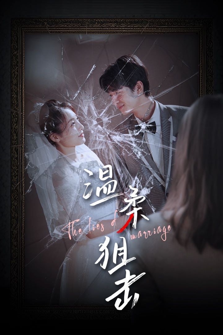 温柔狙击（婚姻迷雾）（婚姻的谎言） 第61-81集完结(大结局)