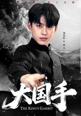 大国手 全集完结(大结局)