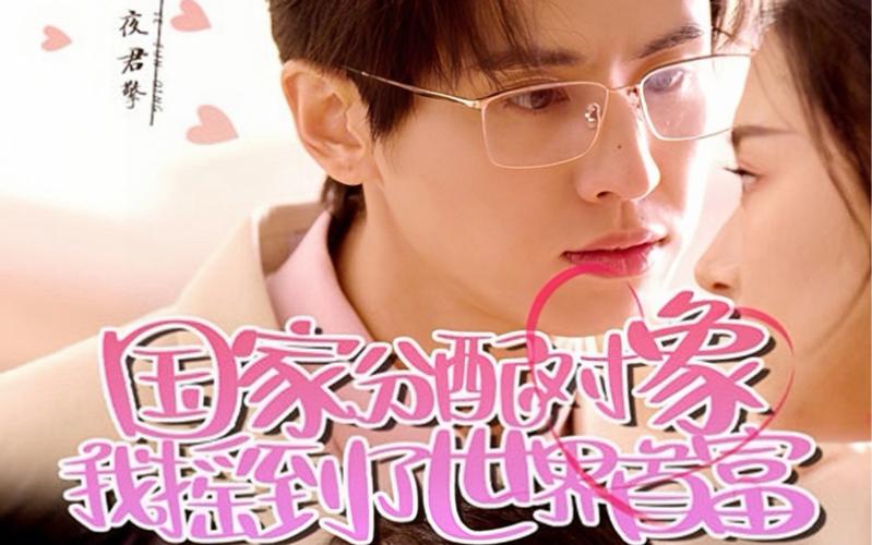 国家分配对象我摇到了世界首富 第21-40集