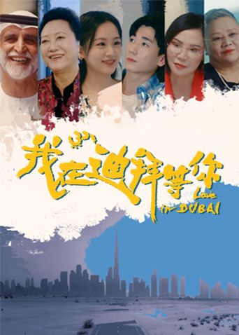 我在迪拜等你 第12集