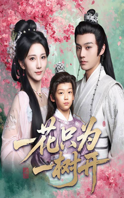 一花只为一树开 全集(大结局)