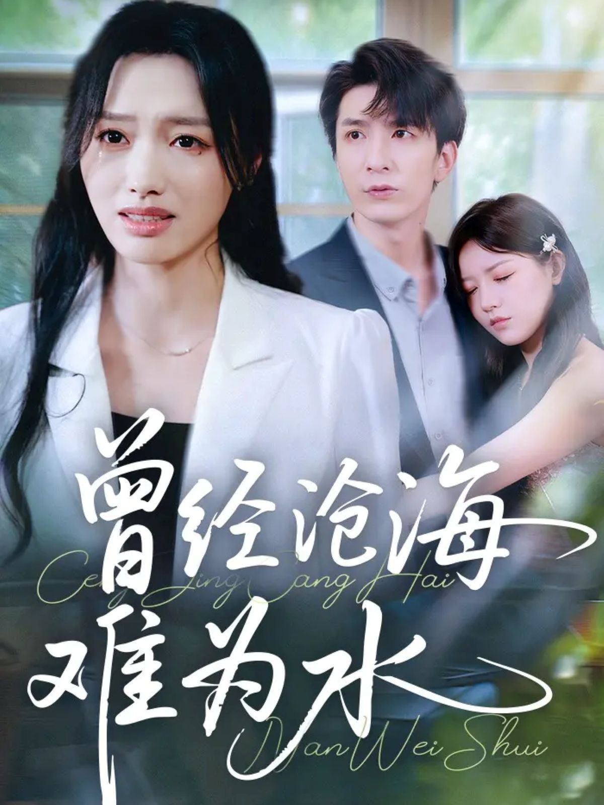 新曾经沧海难为水 全集完结(大结局)