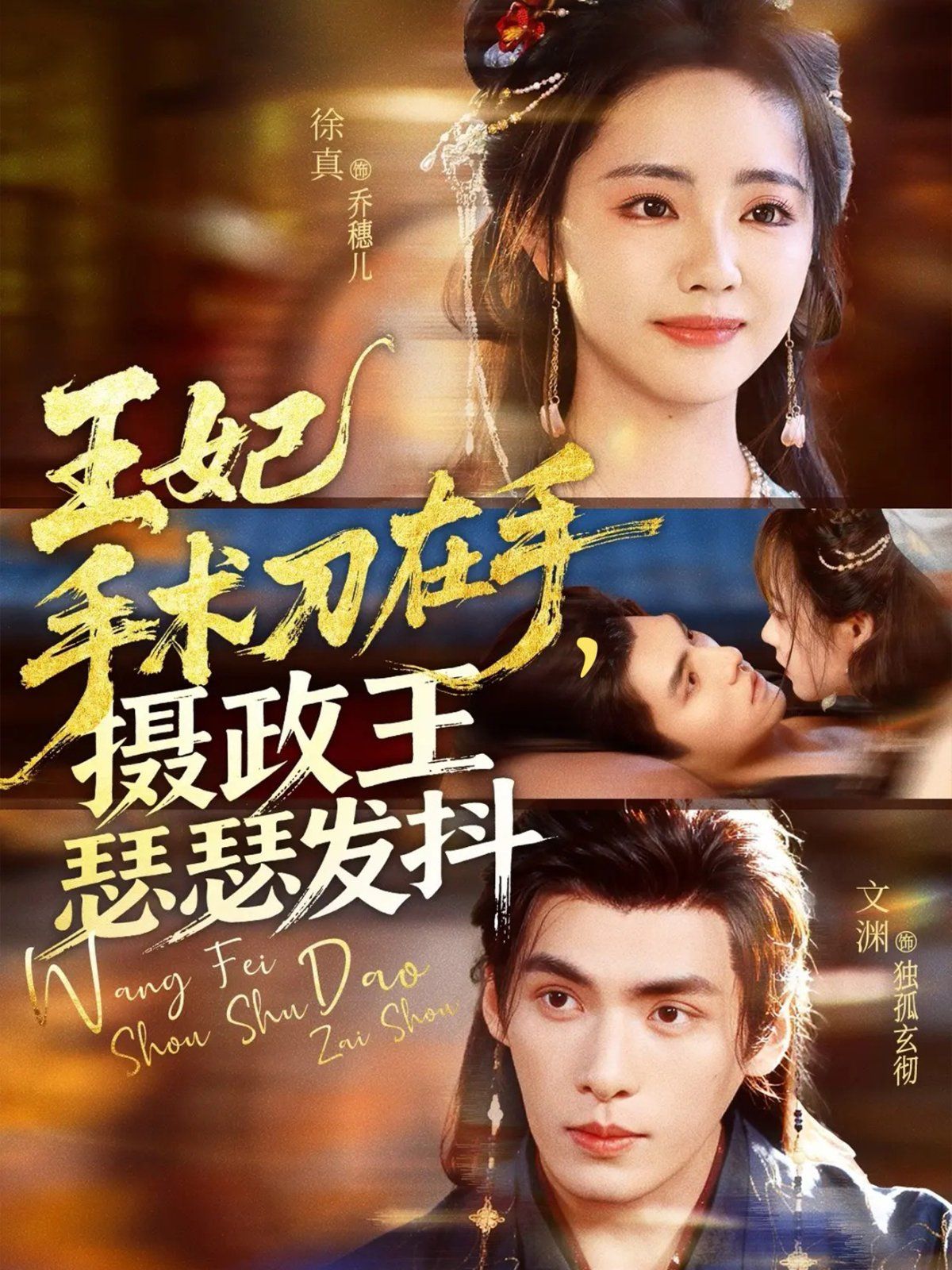 王妃手术刀在手摄政王瑟瑟发抖 全集完结(大结局)