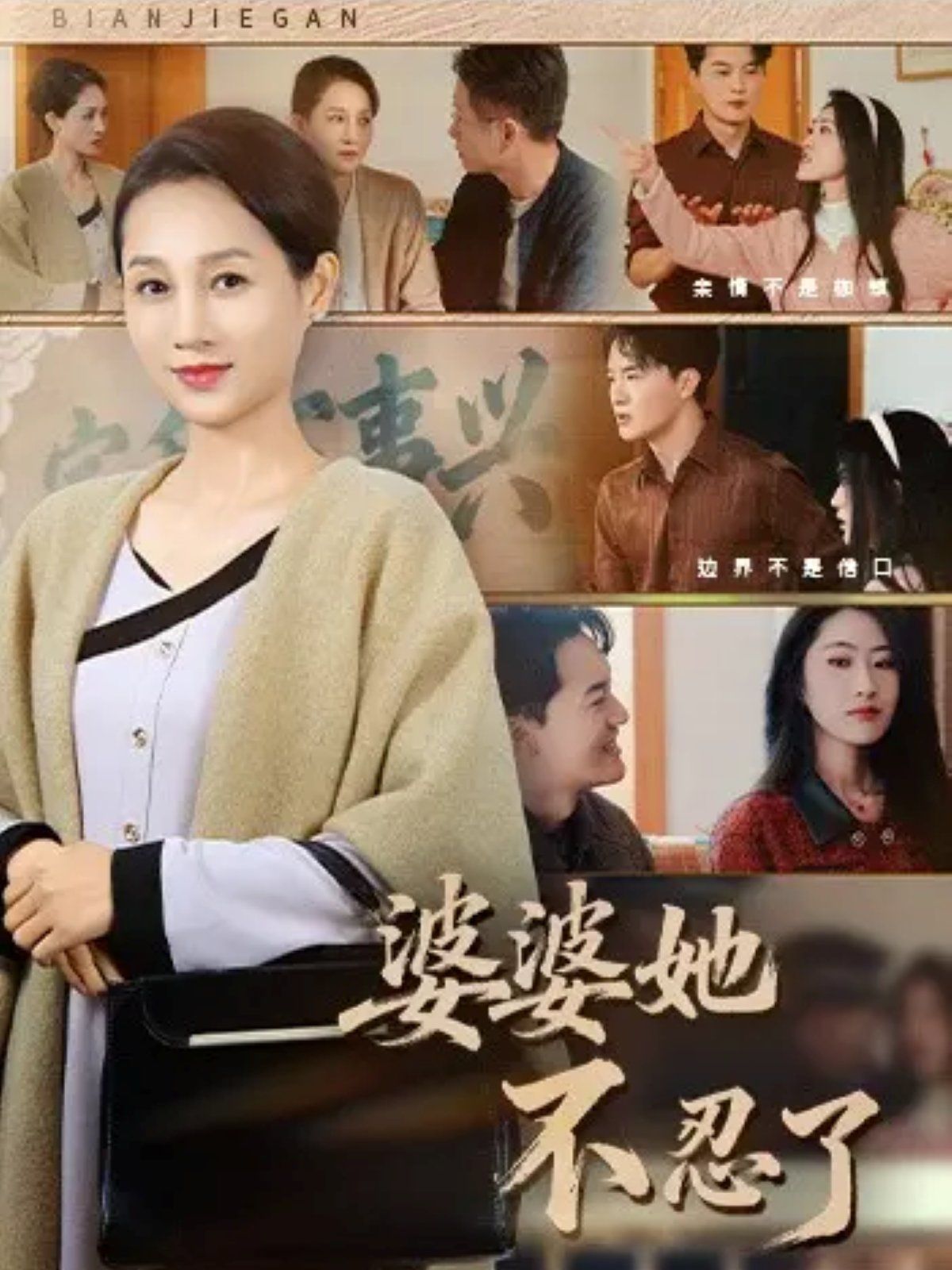 婆婆她不忍了 全集完结(大结局)