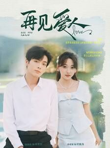 新再见爱人 第1-20集