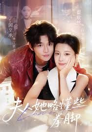 夫人她略懂些拳脚 全集完结(大结局)