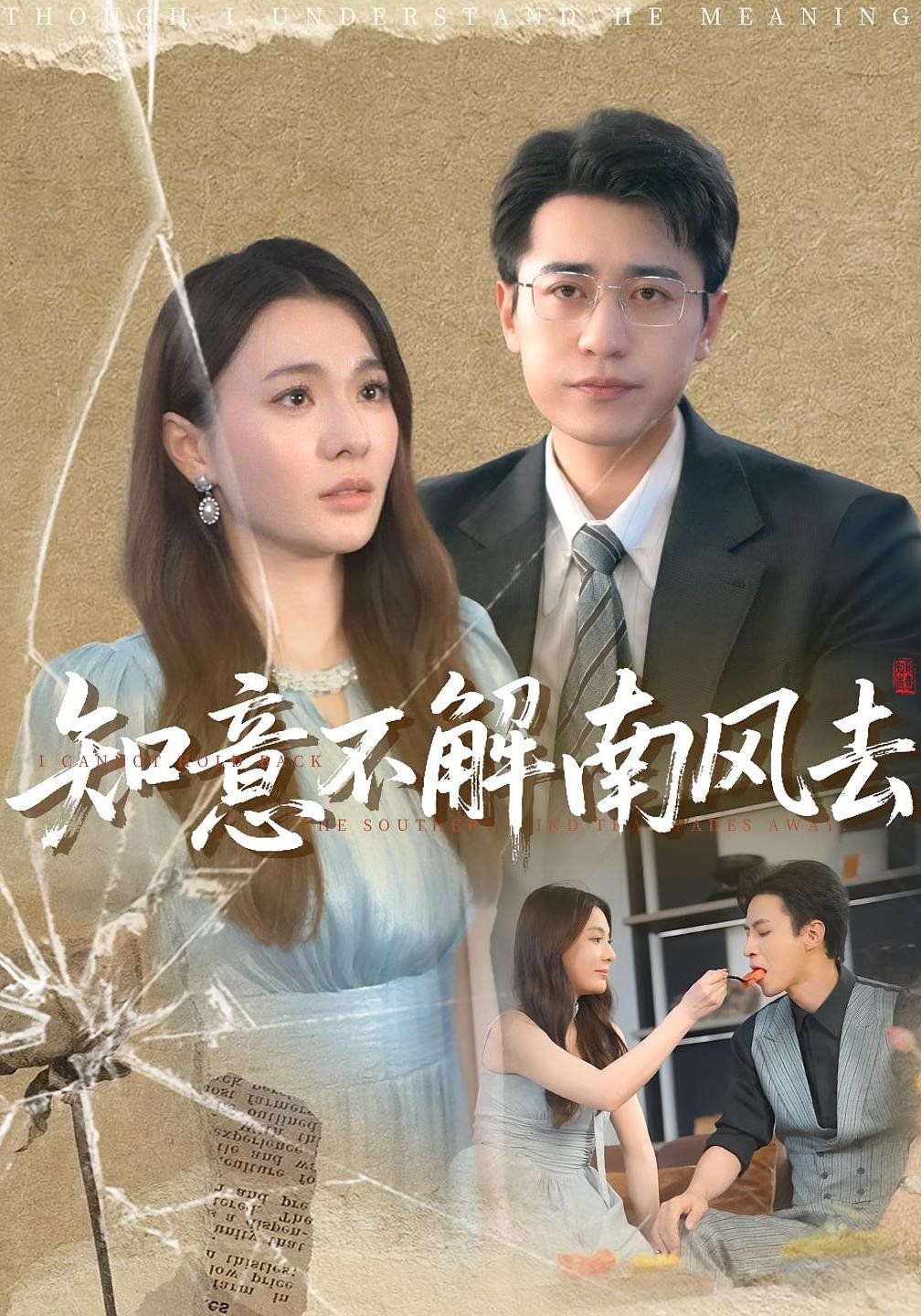 知意不解南风去 全集完结(大结局)