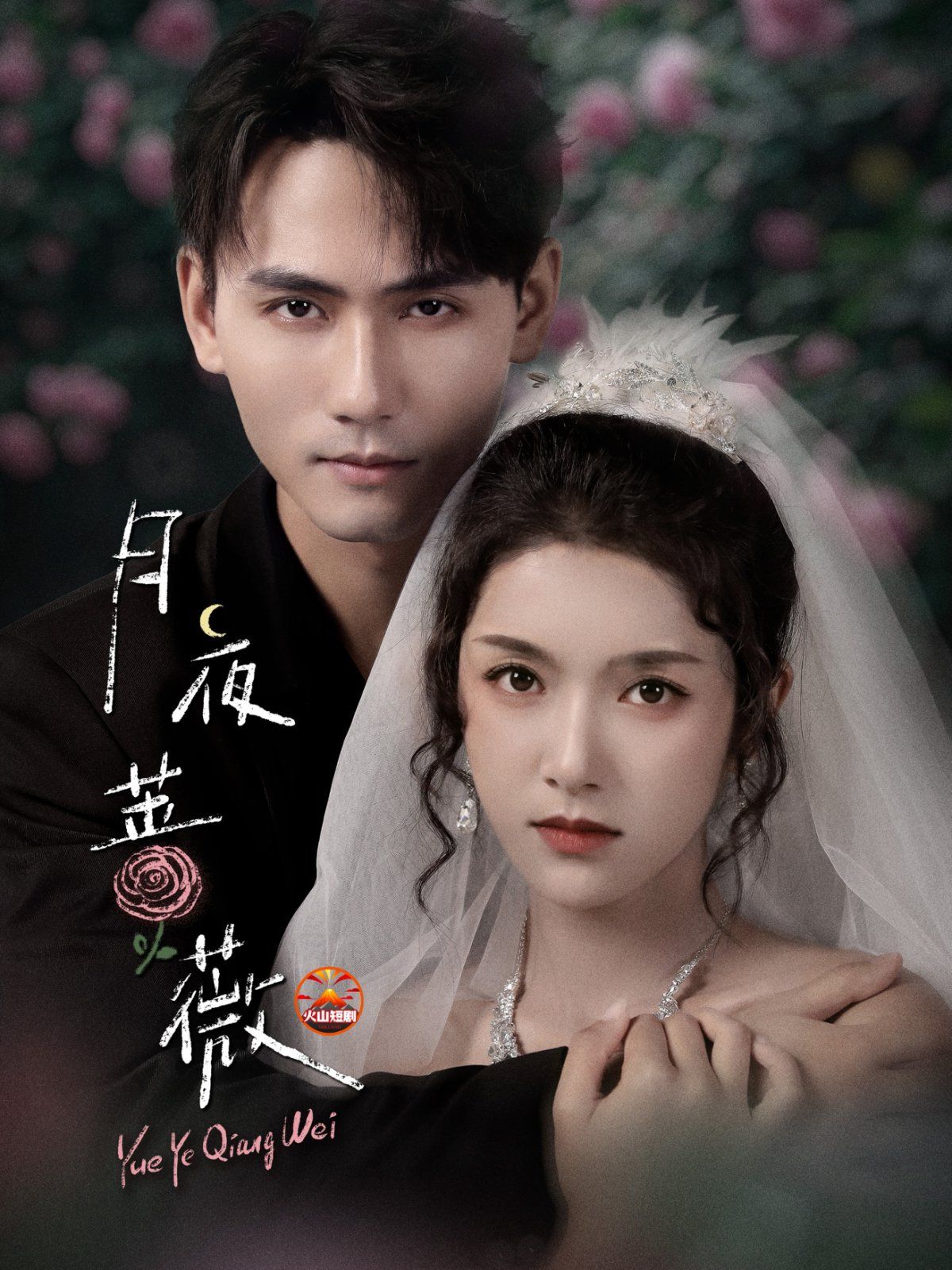 月夜蔷薇 全集完结(大结局)