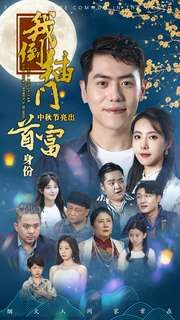 我倒插门中秋节亮出首富身份 第41-60集