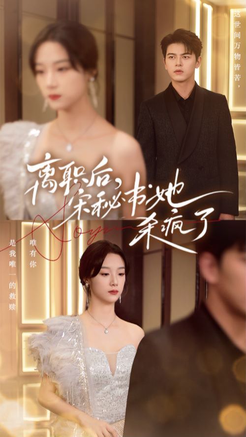 离职后，宋秘书她杀疯了 第41-60集