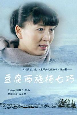 豆腐西施杨七巧 第21集