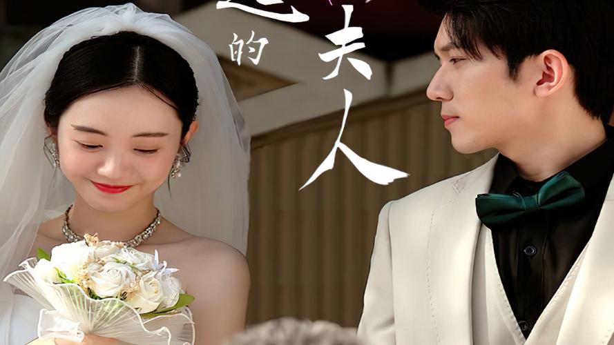 了不起的萧夫人 第21-40集