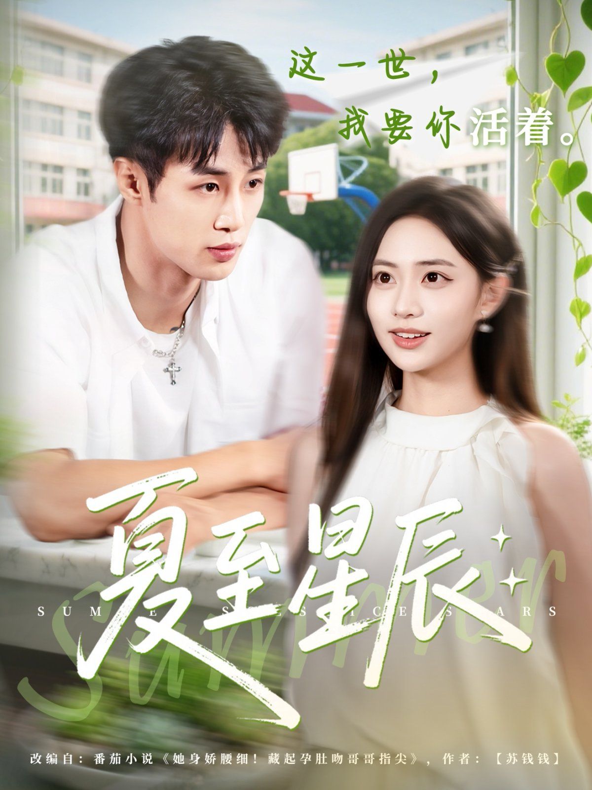 夏至星辰 全集完结(大结局)