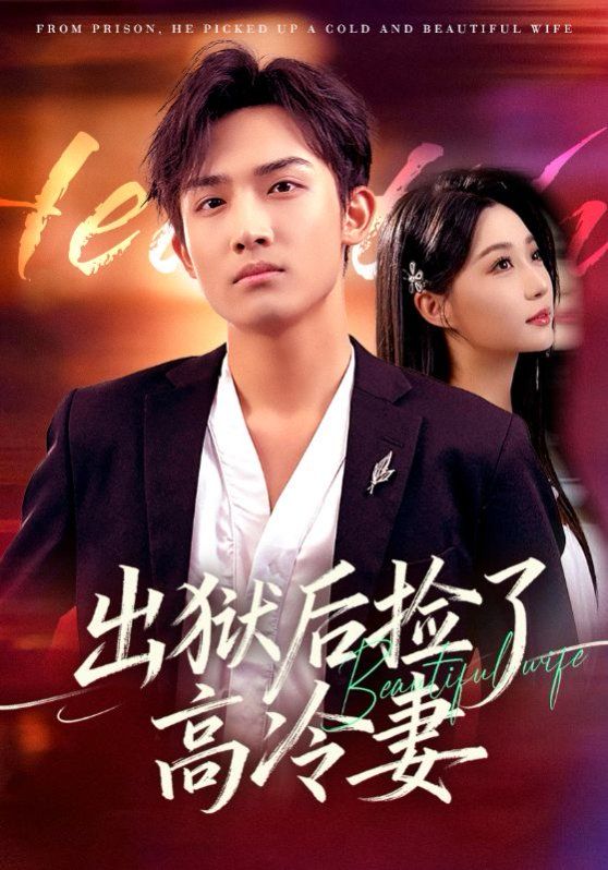 出狱后捡了高冷妻 全集完结(大结局)