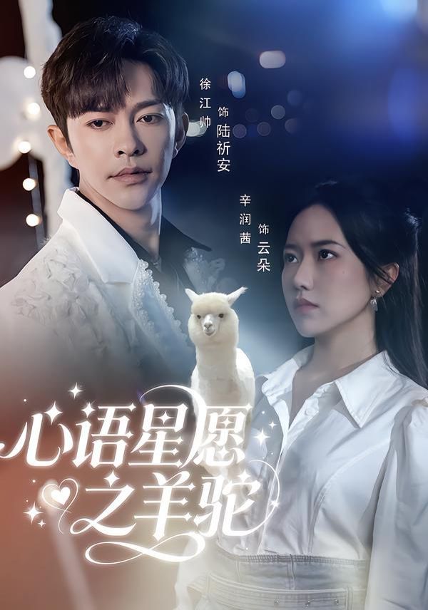 心语星愿之羊驼 全集完结(大结局)