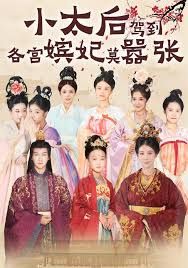 小太后驾到，各宫嫔妃莫嚣张 全集完结(大结局)
