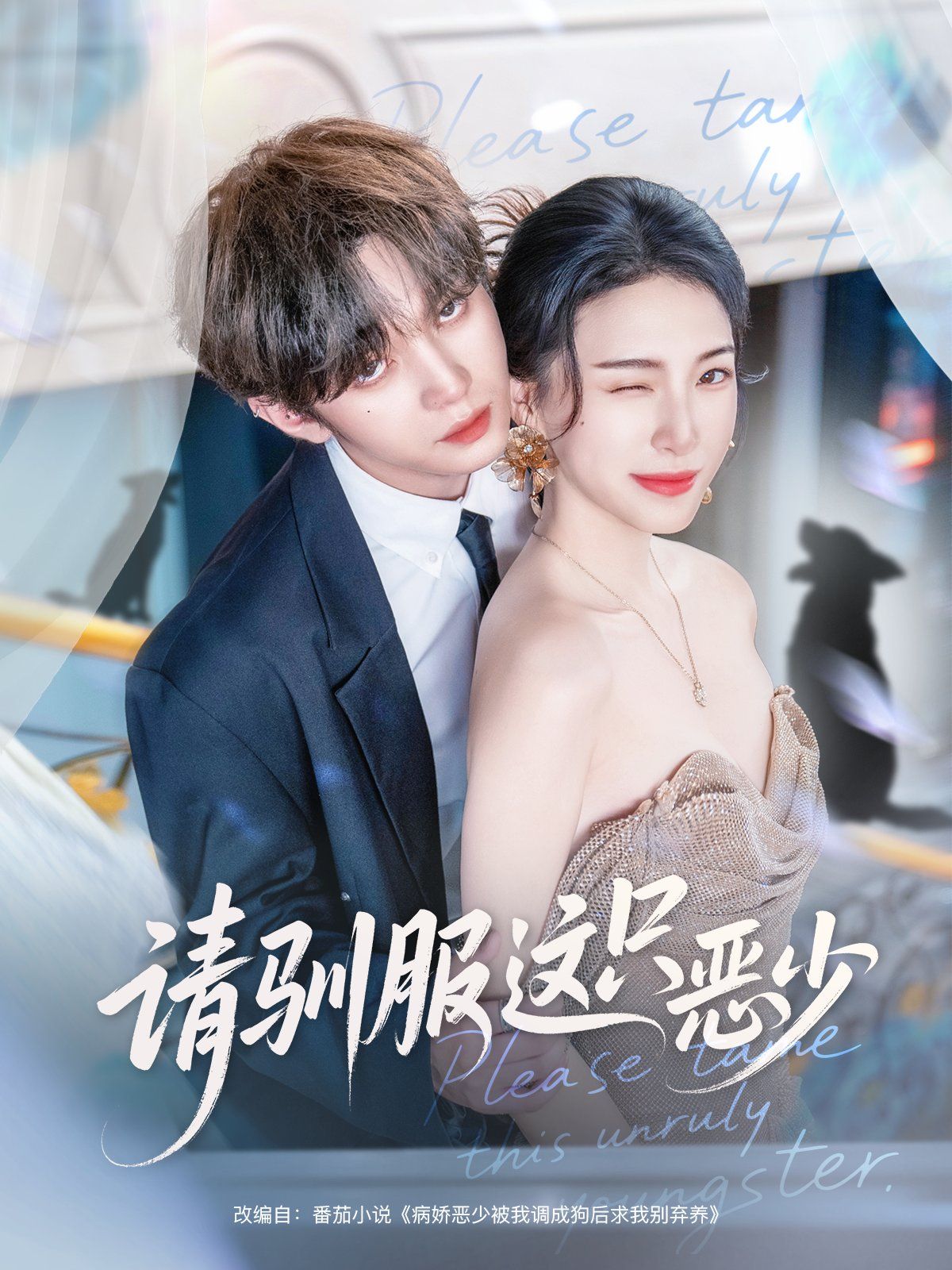 请驯服这只恶少 全集完结(大结局)