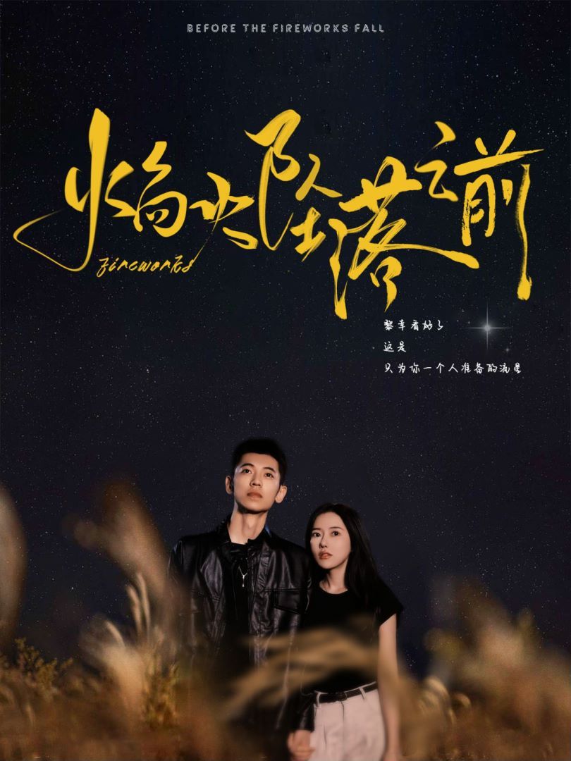 焰火坠落之前 第41-60集
