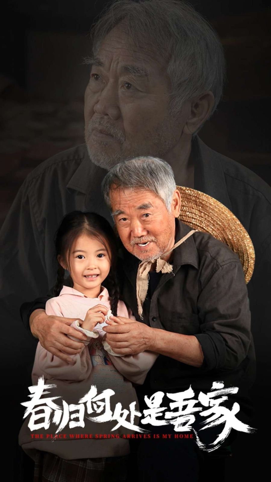 春归何处是吾家 第21-40集