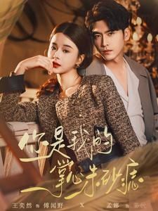 你是我的掌心朱砂痣 第41-60集