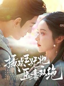 摄政王妃她医毒双绝 第61-80集完结(大结局)