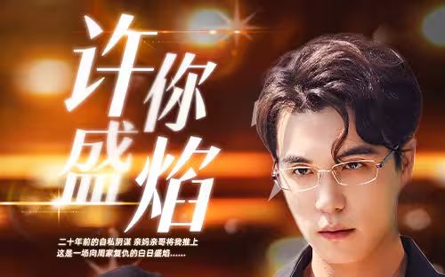 许你盛焰 第41-60集