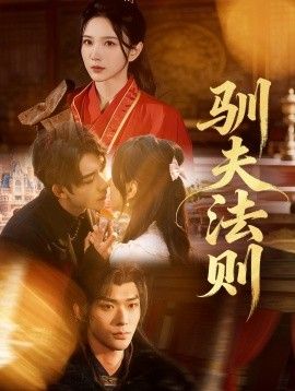 驯夫法则 全集完结(大结局)