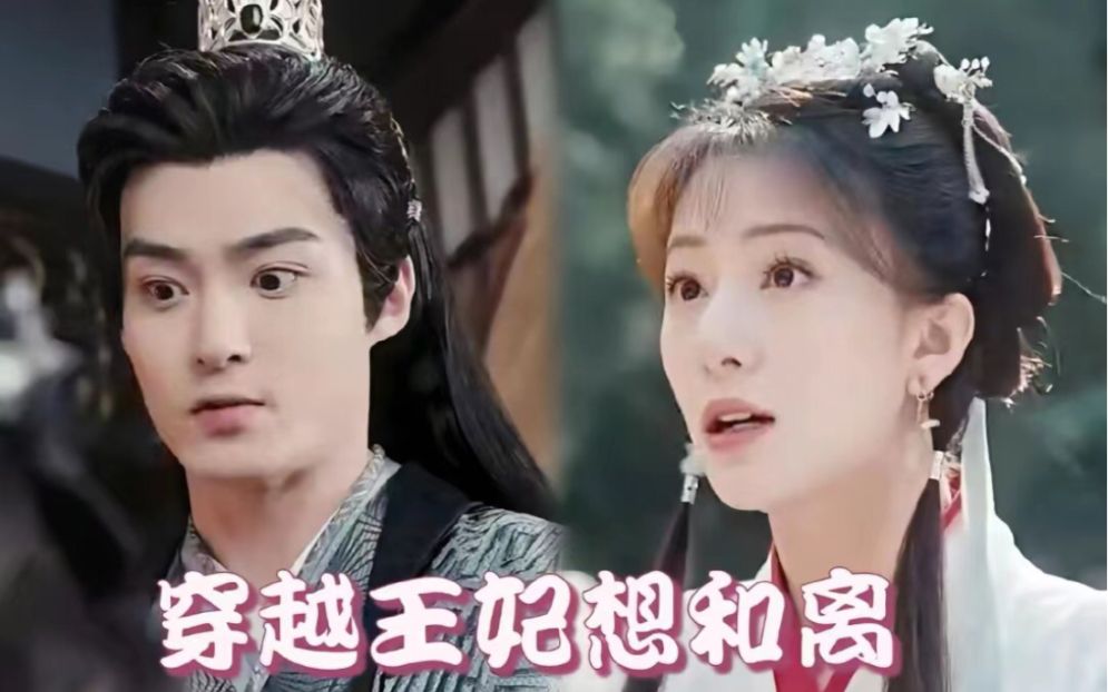 穿越王妃想和离 第41-60集