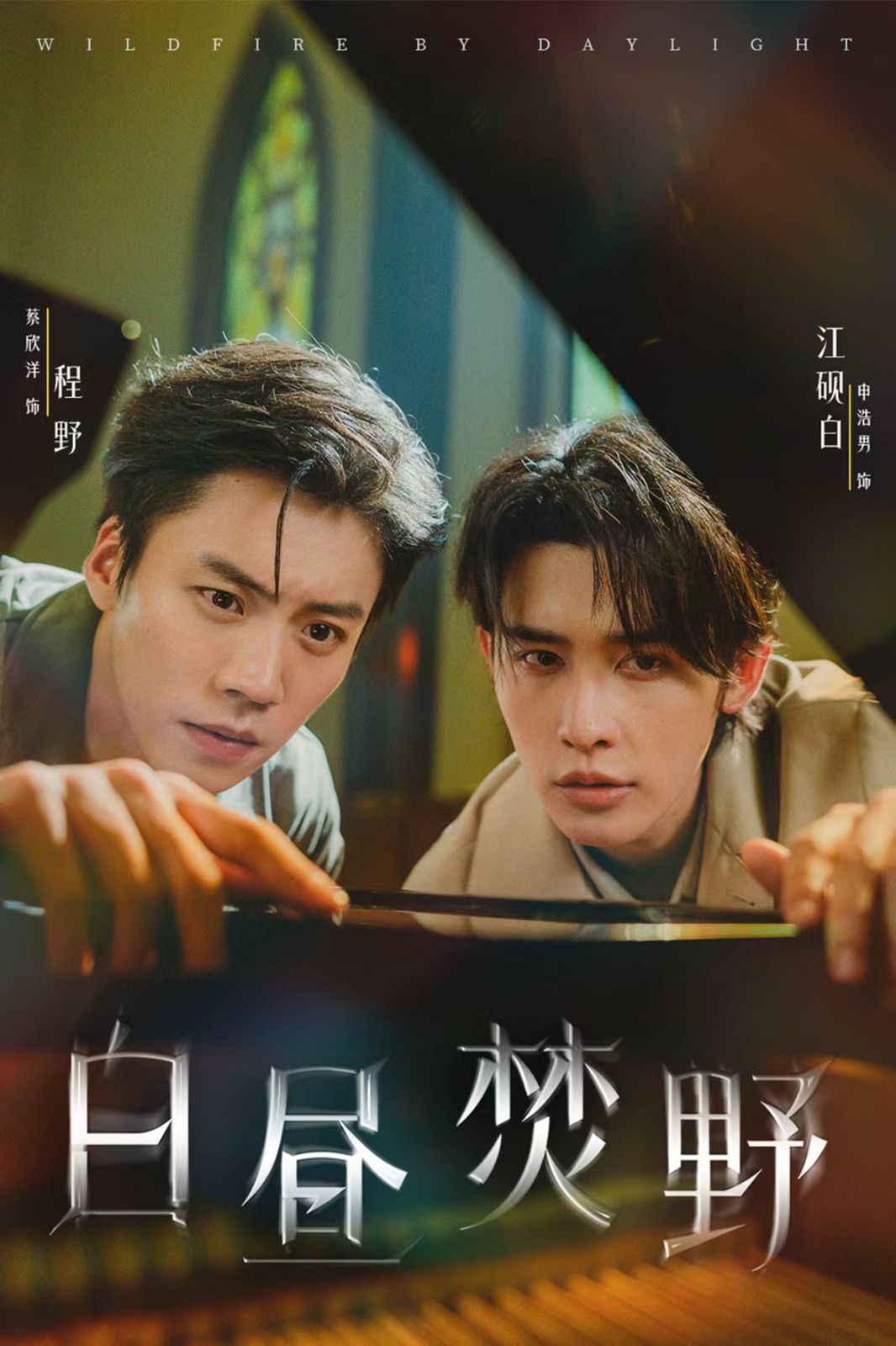 白昼焚野 全集(大结局)