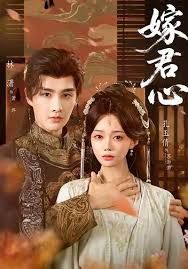 嫁君心 全集完结(大结局)