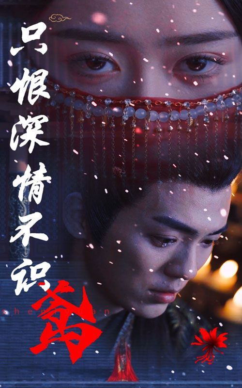 只恨深情不识鸢 第21-40集