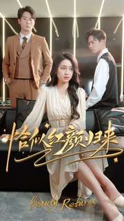 恰似红颜归来 第41-60集