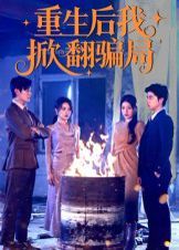 重生后我掀翻骗局 全集完结(大结局)