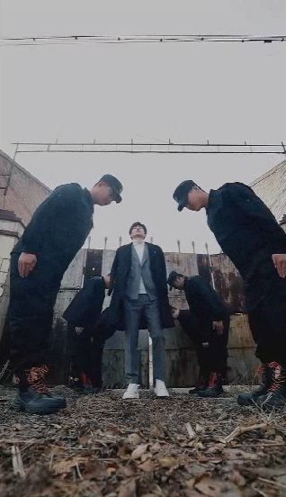 神医帝婿 第41-60集