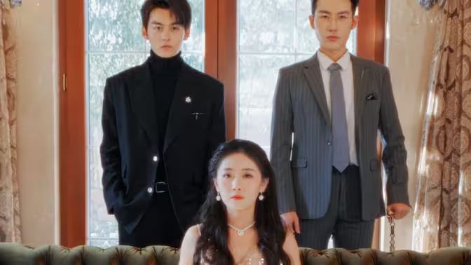 不要招惹舒小姐 第31-60集