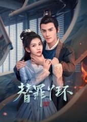 替罪丫环 第21集