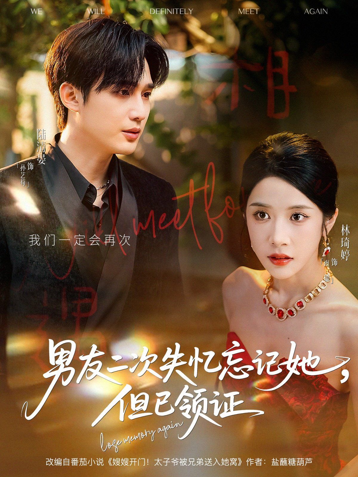男友二次失忆忘记她但已领证 全集(大结局)