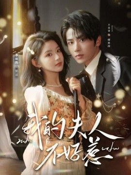 我的夫人不好惹，你好，我的旅长夫人 全集完结(大结局)