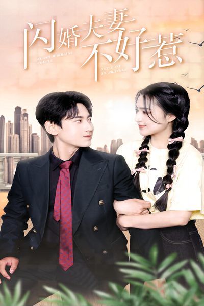 闪婚夫妻不好惹 第41-60集