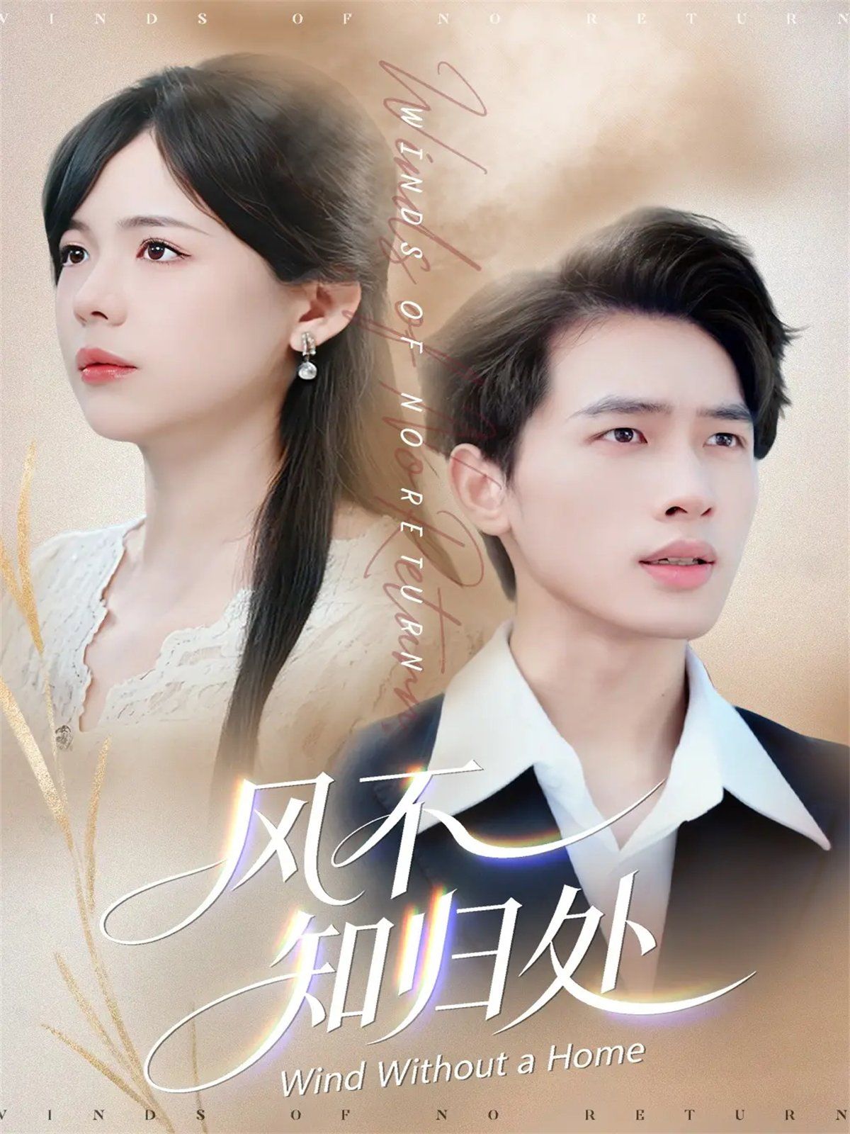 风不知归处 全集完结(大结局)