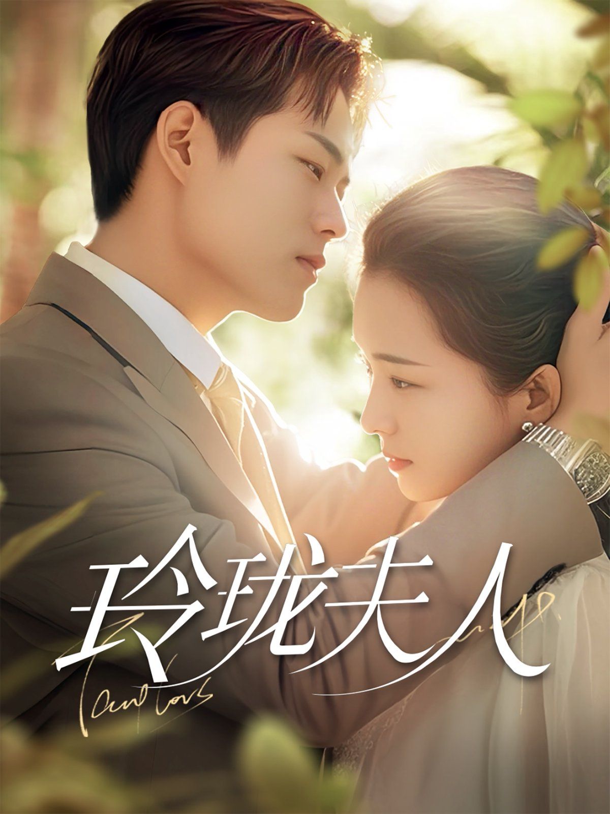 玲珑夫人 第1-20集