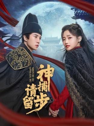 神捕请留步 第04集