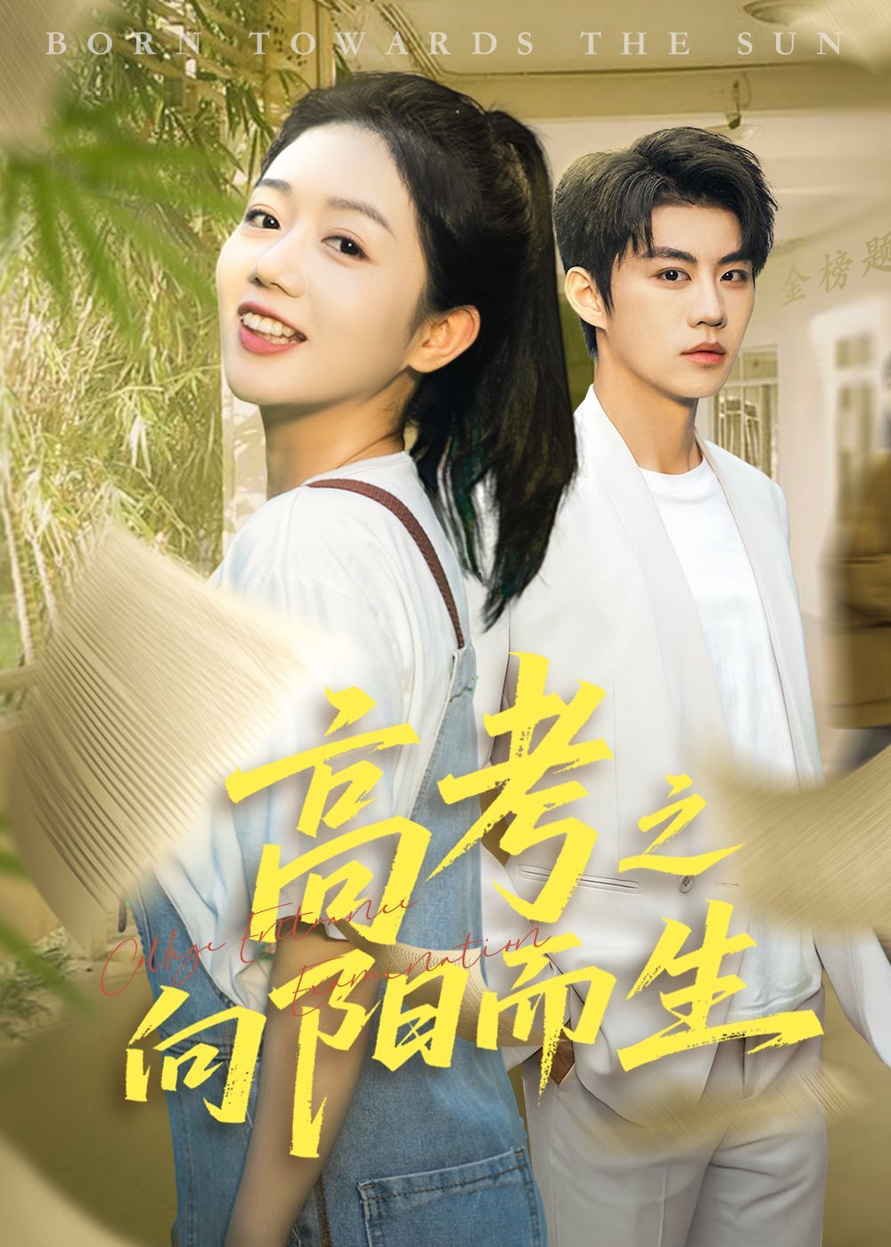 高考之向阳而生 全集完结(大结局)