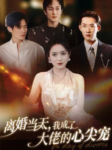 离婚当天我成了大佬的心尖宠 第21-40集